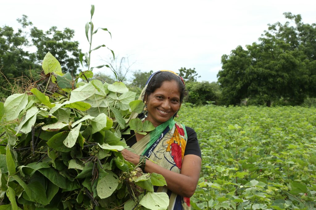 Pradhan Mantri Krishi Sinchayee Yojana (PMKSY)